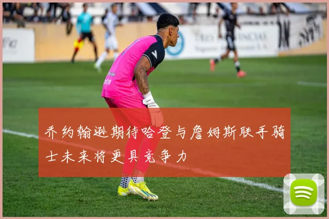 乔约翰逊期待哈登与詹姆斯联手骑士未来将更具竞争力